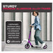 LaScooter Foldable, Portable & Height Adjustable Kids, Teen or Adult 2 Wheel Scooter | Purple Plum